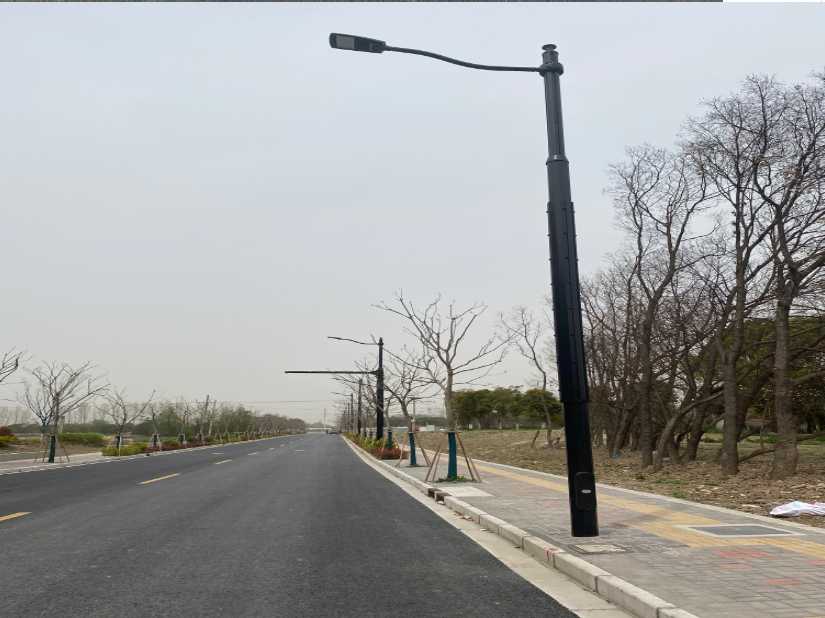 临川区上海综合杆 太阳能路灯工程